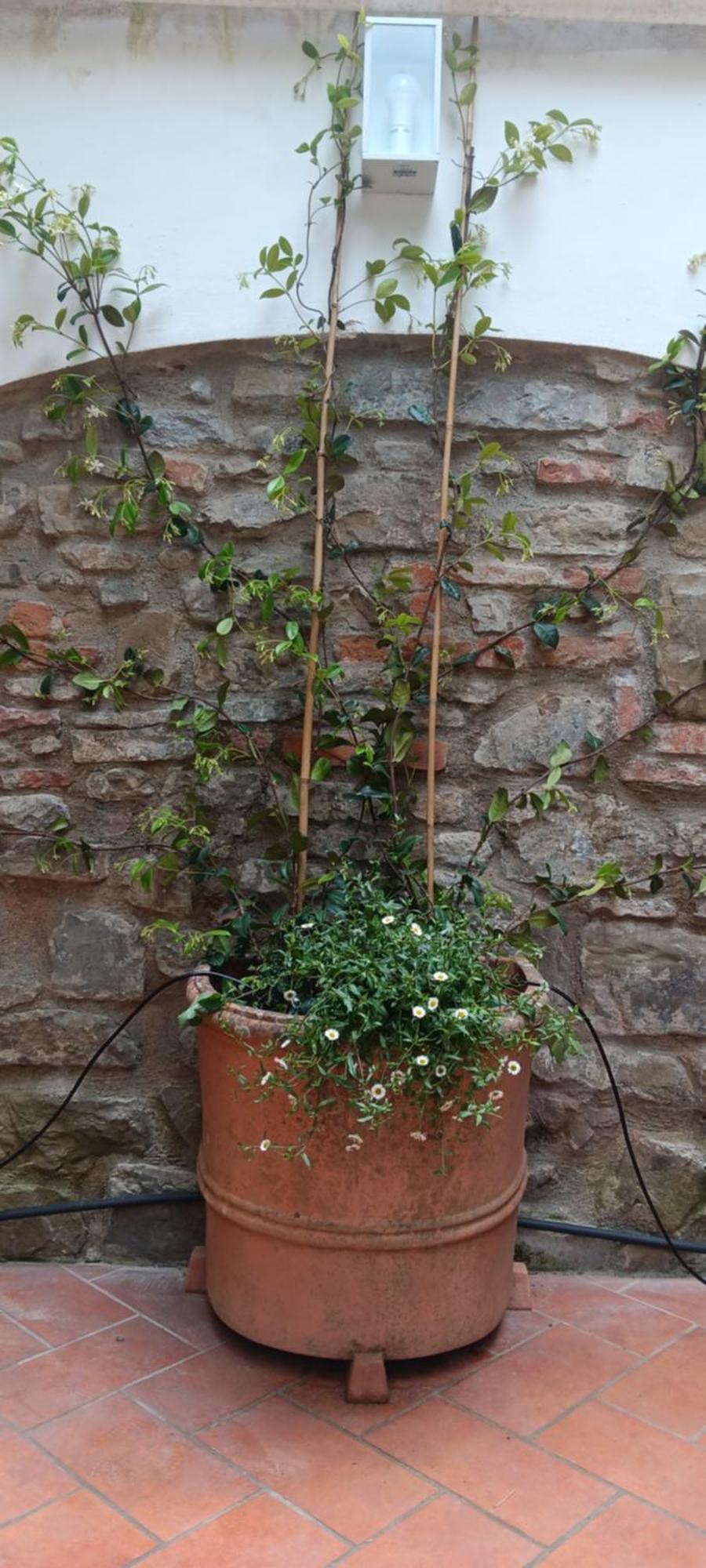 Casa Il Patio Firenze