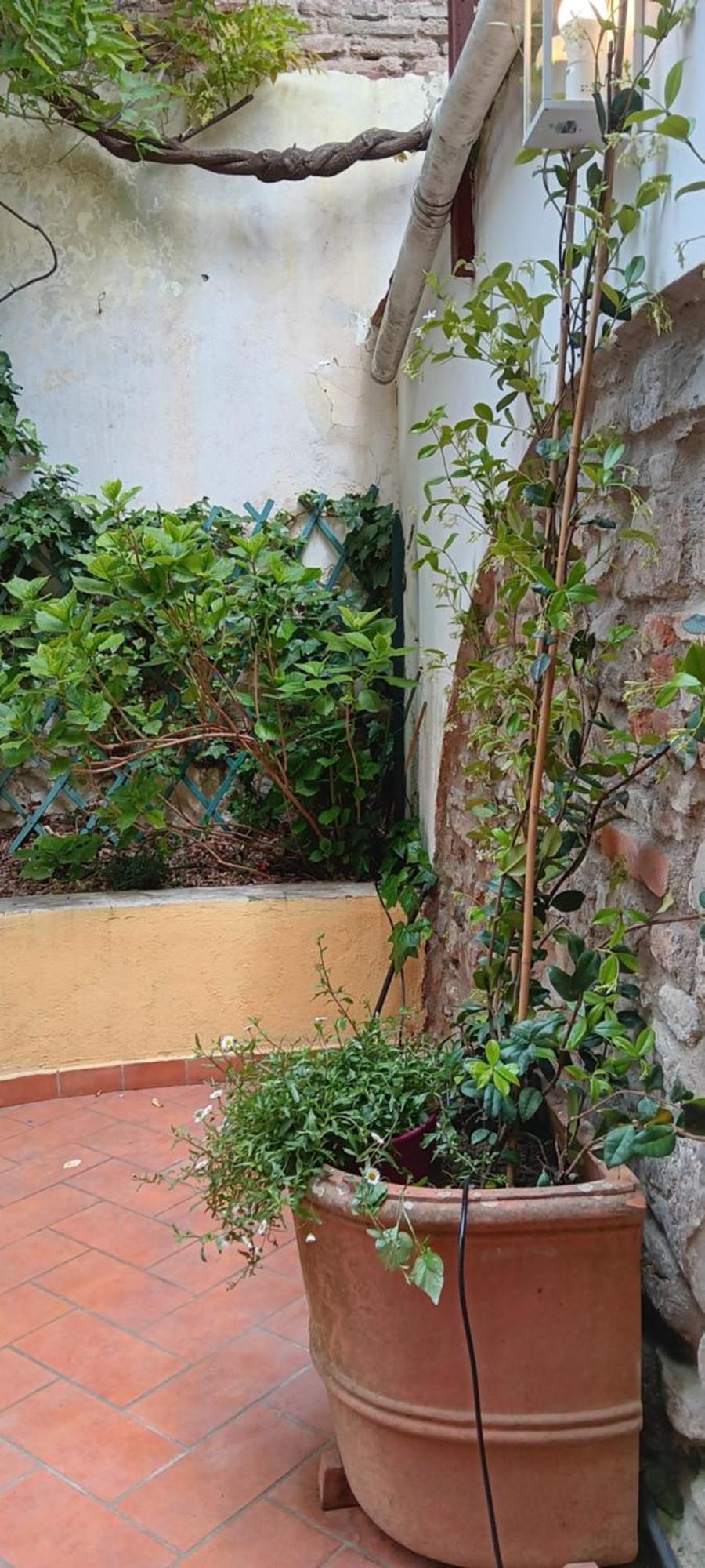 Lejlighed Casa Il Patio Firenze