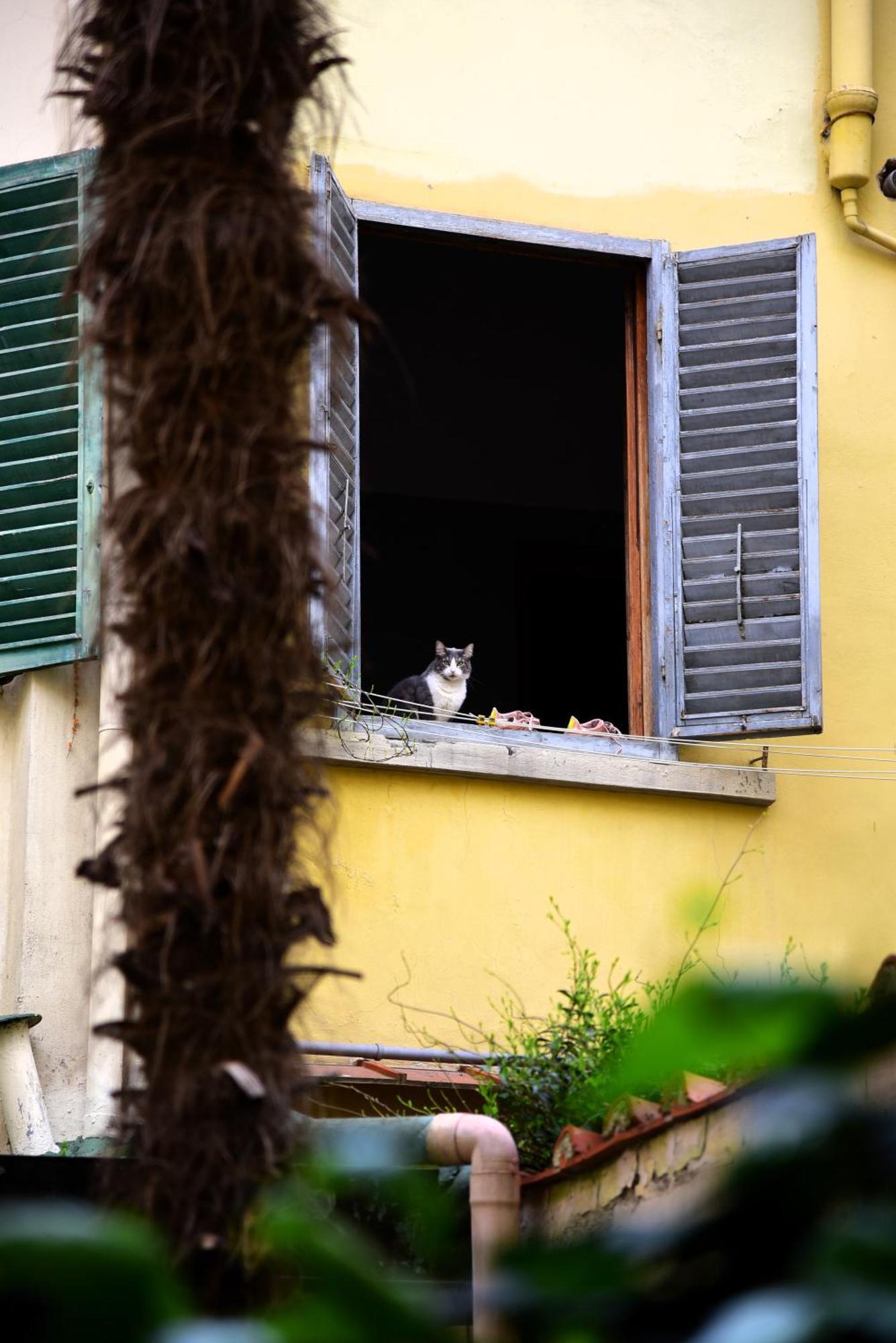 Il Segreto Di Via Laura - House In *