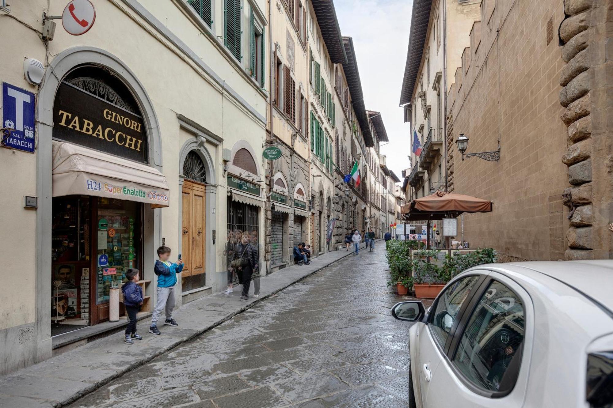 Mamo - Ginori * Firenze