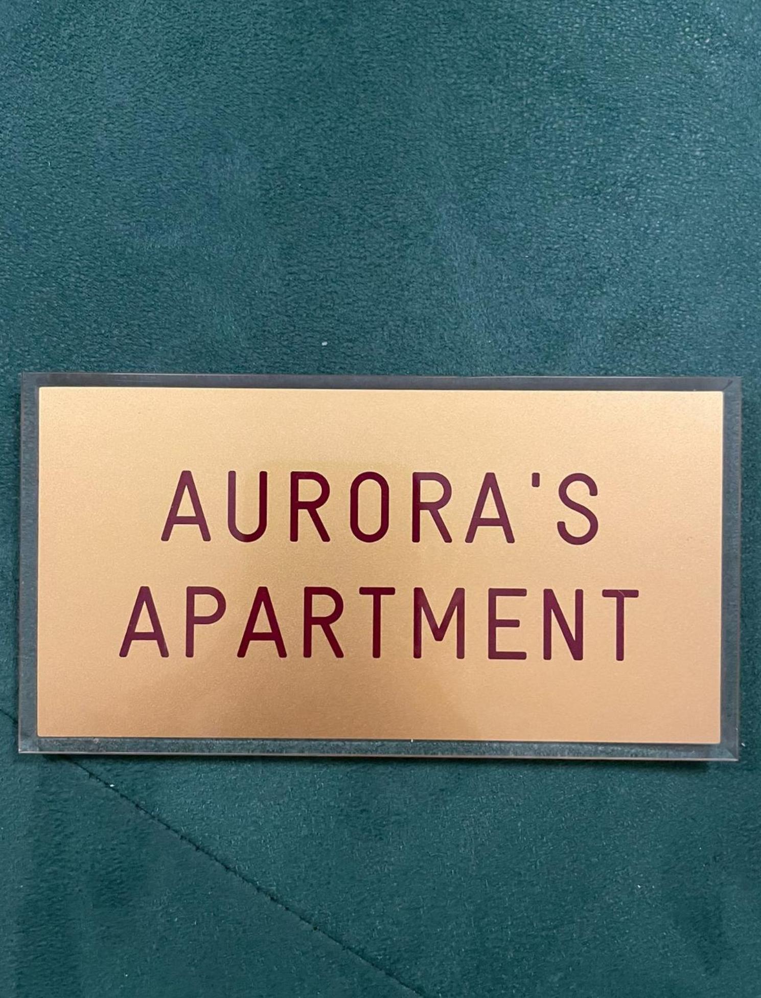 Aurora's, Renaissance Suite, Historic Apartment, Pivot Location, Few Walks From All, Ac Bedroom Apartamento Florença