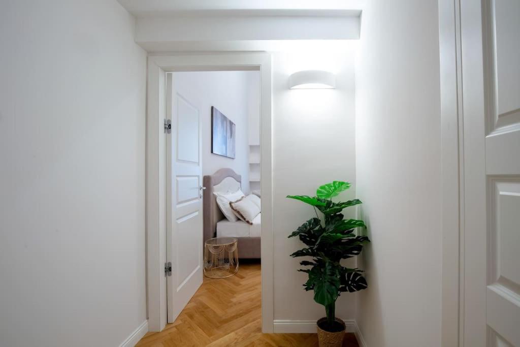 Dimora Nuvola Firenze