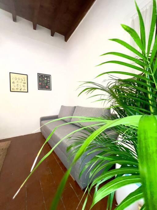Casa Centro Wi Fi Aria Condizionata Netflix Appartement Florence
