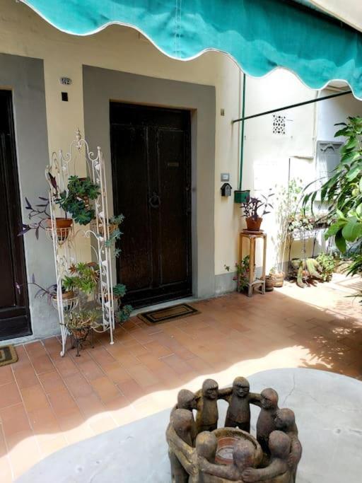 - Anthurium Firenze