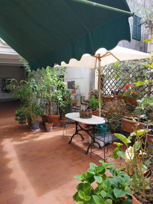 Appartamento - Anthurium *