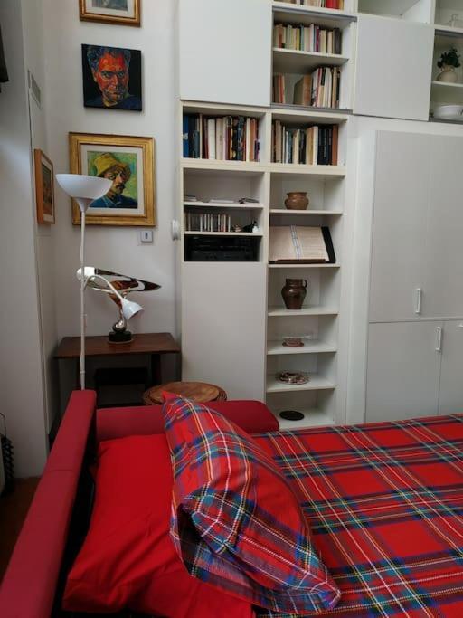 - Anthurium Firenze
