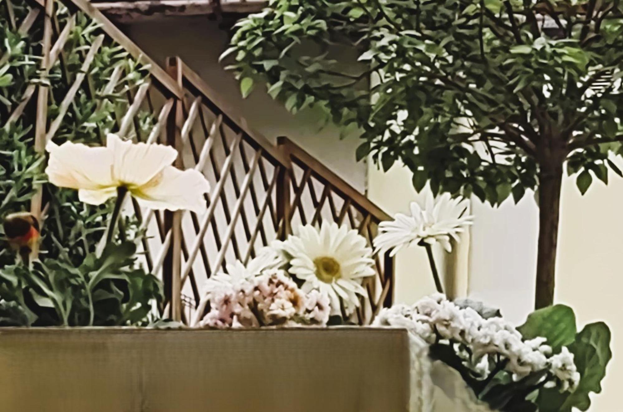 Movie Star With Garden Apartamento