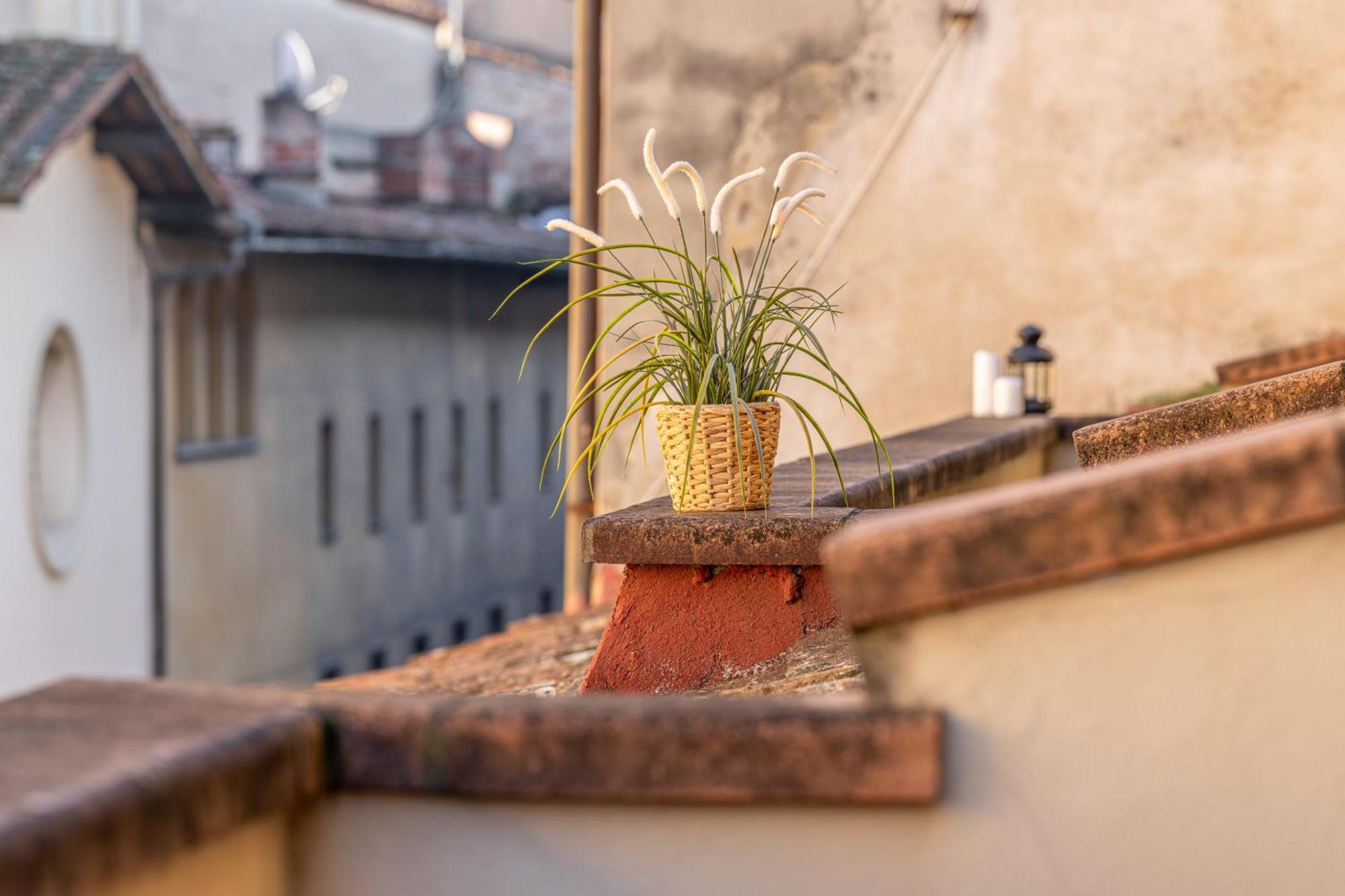 Hidden Nest Appartement
