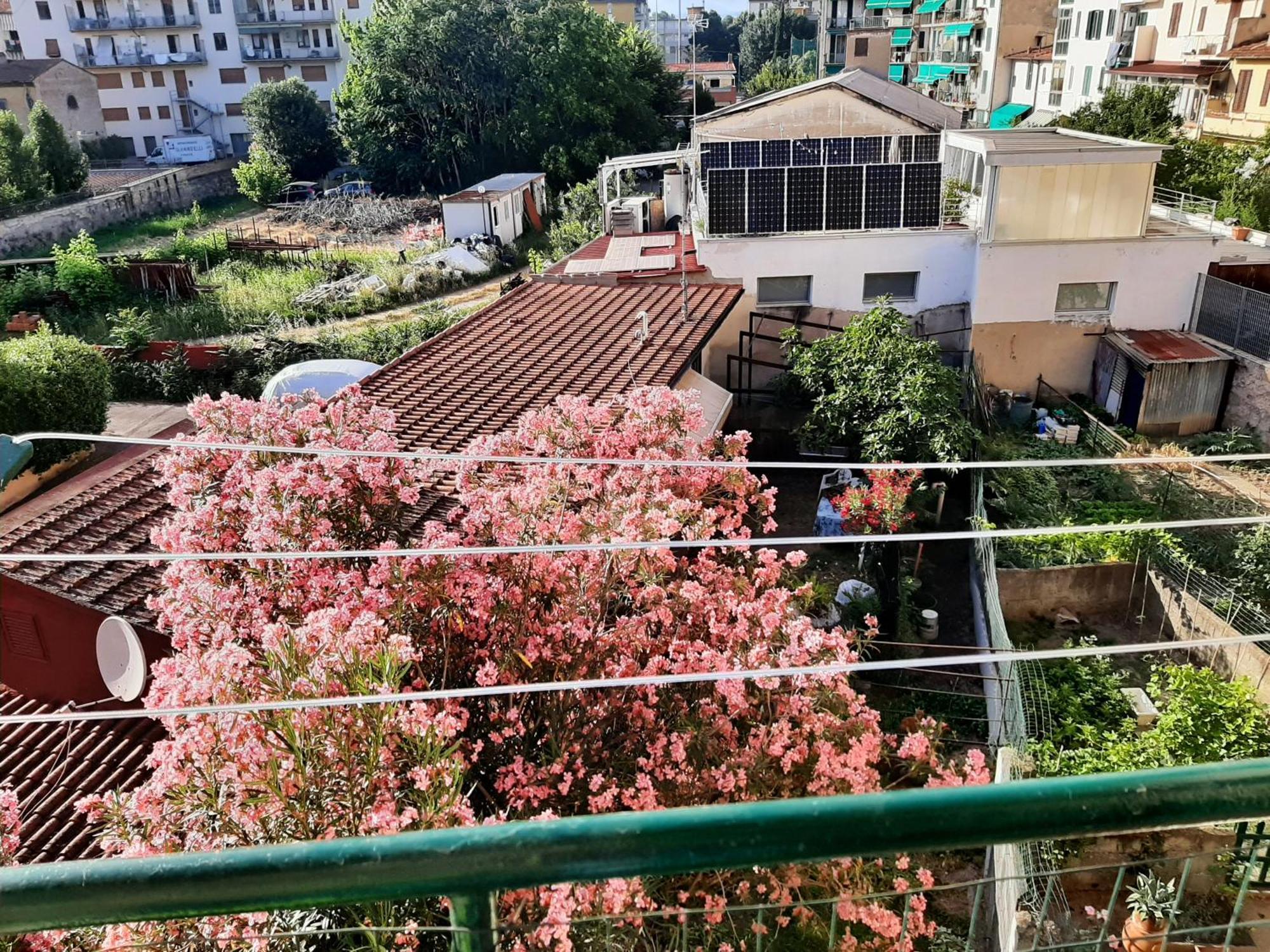 Apartamento Mary&flo House - A Due Passi Dal Centro - Free Private Parking *