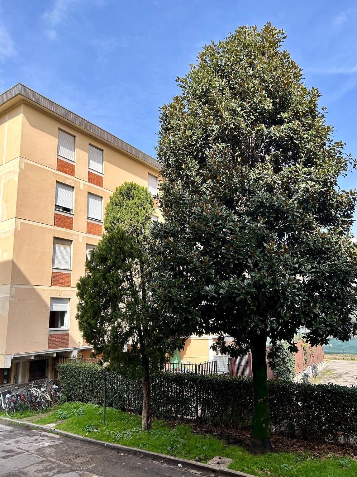 Magnolia 84 Firenze