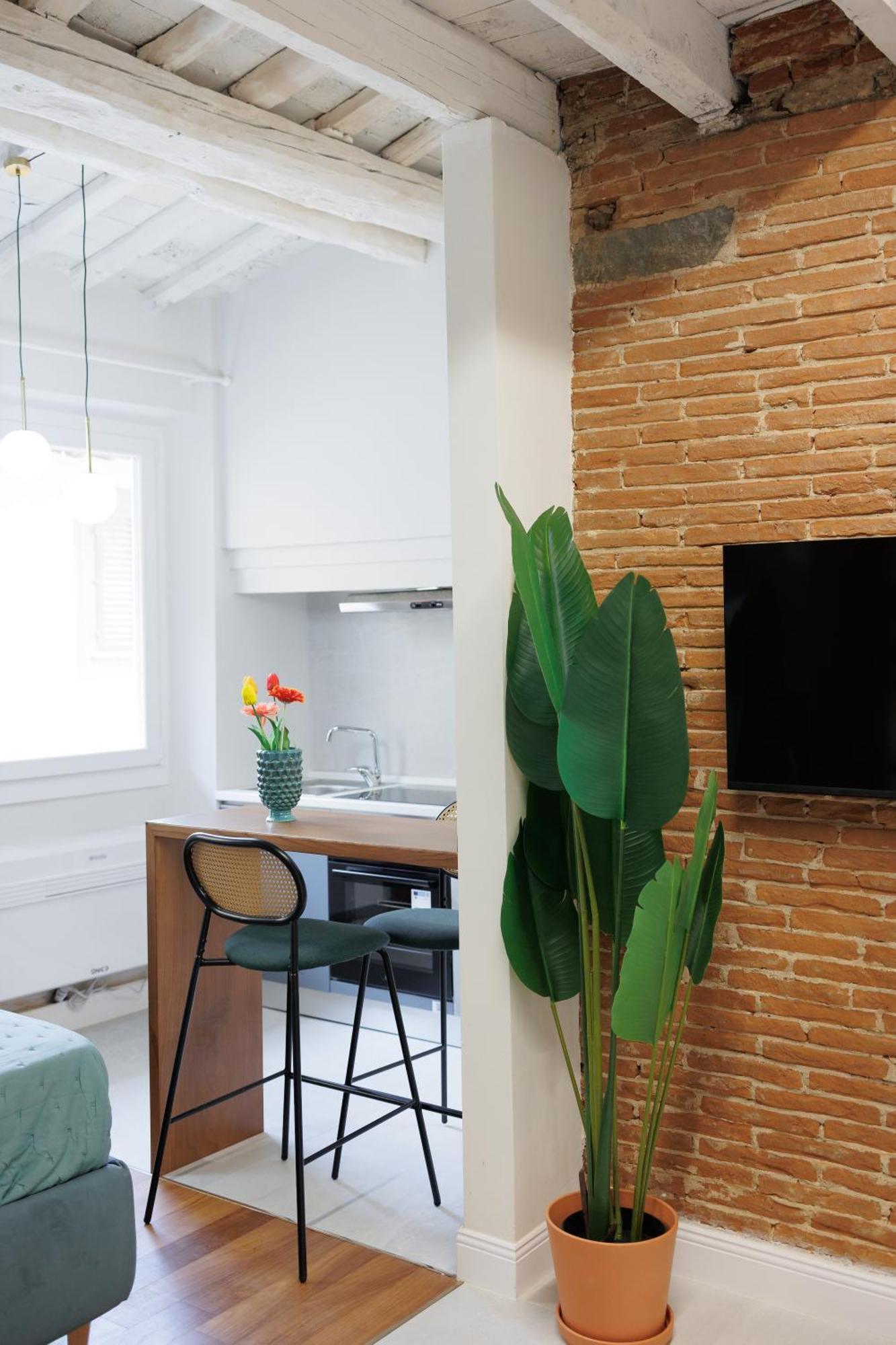 Appartamento Jungle Flat