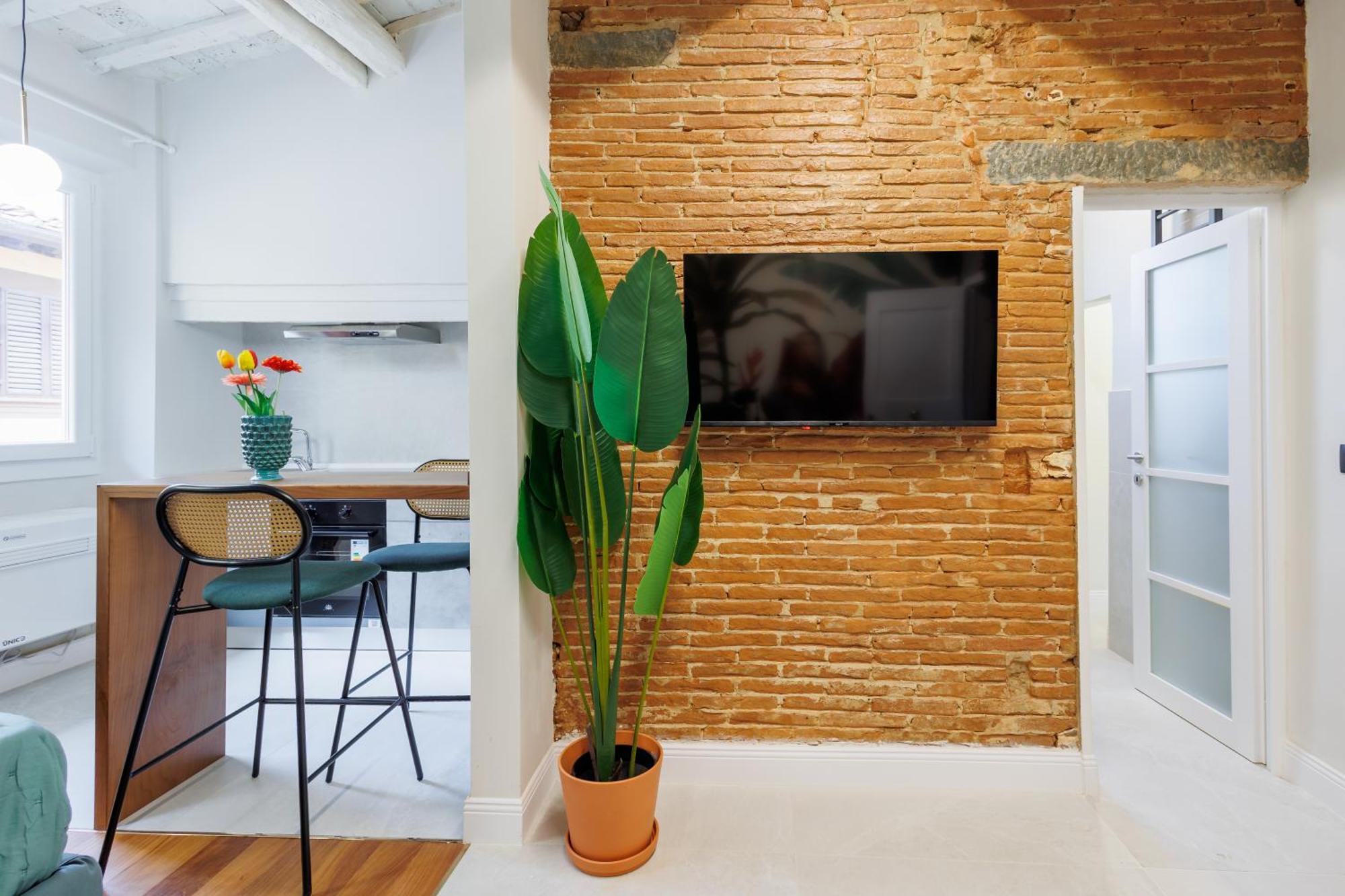 Appartamento Jungle Flat