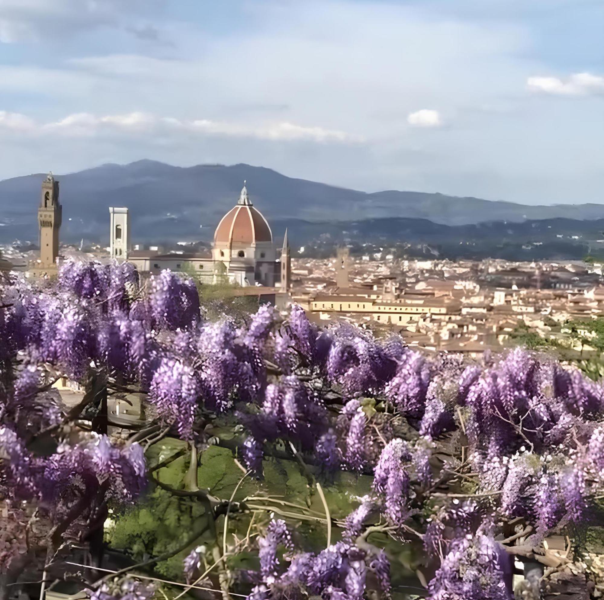 Costa San Giorgio, 65 - Gemma Incastonata A Pochi Passi Da Ponte Vecchio Lejlighed