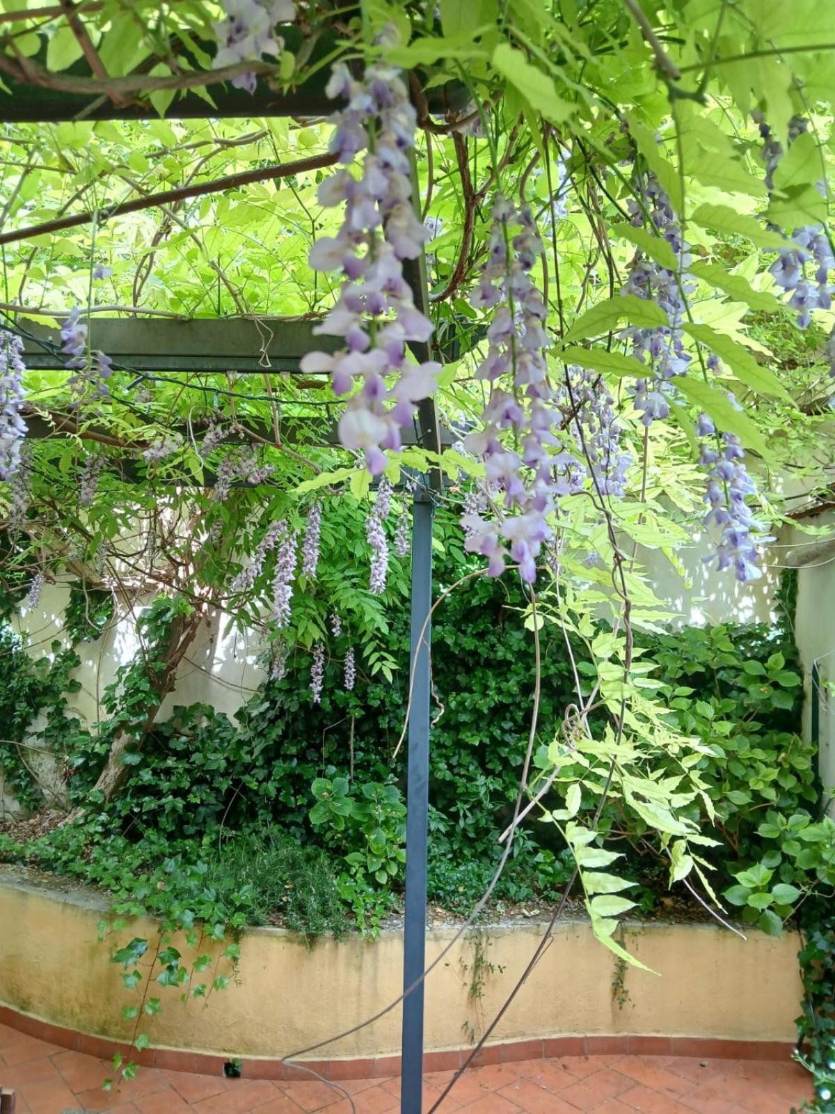 Lejlighed Casa Il Patio