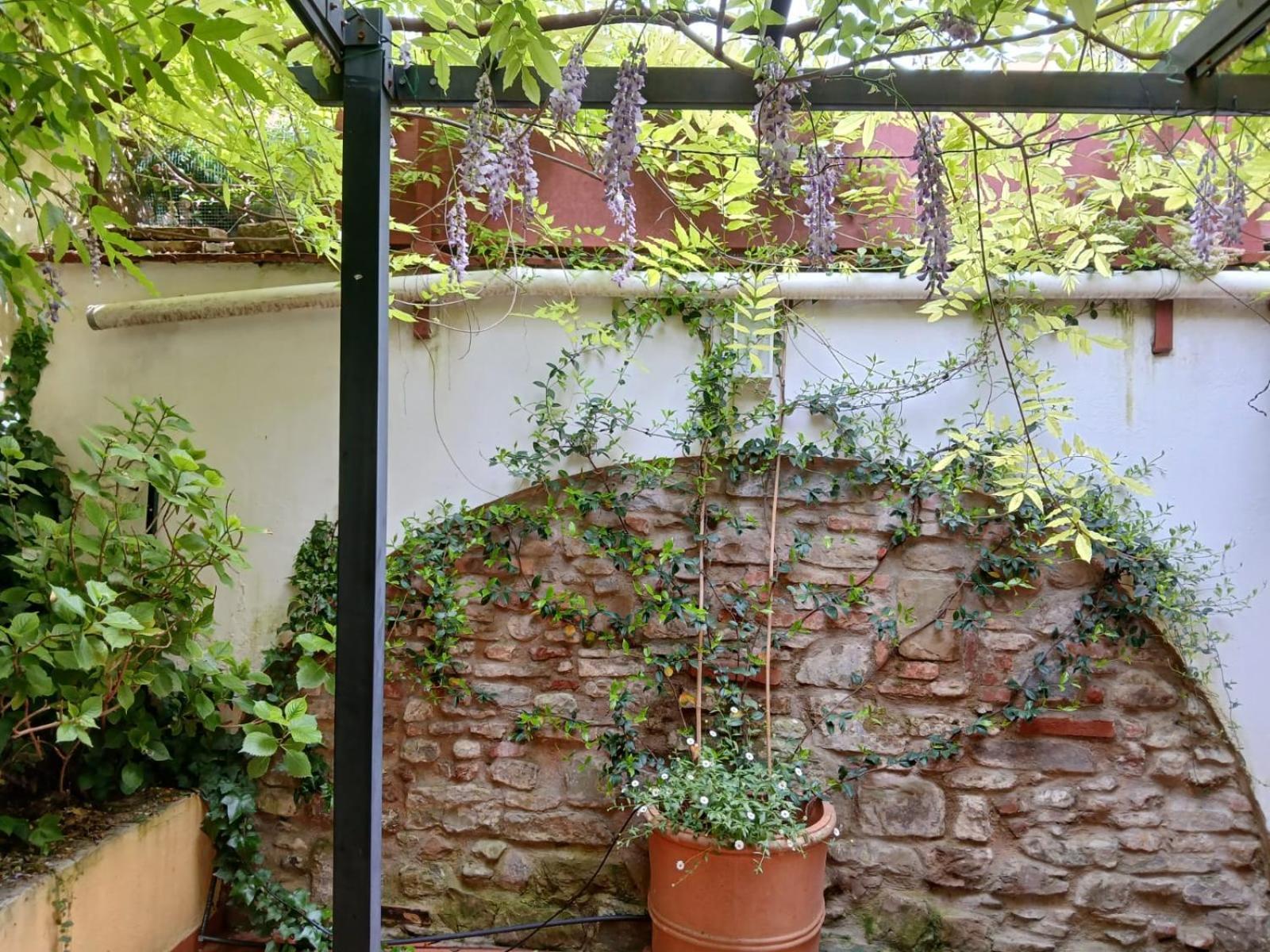Casa Il Patio * Firenze