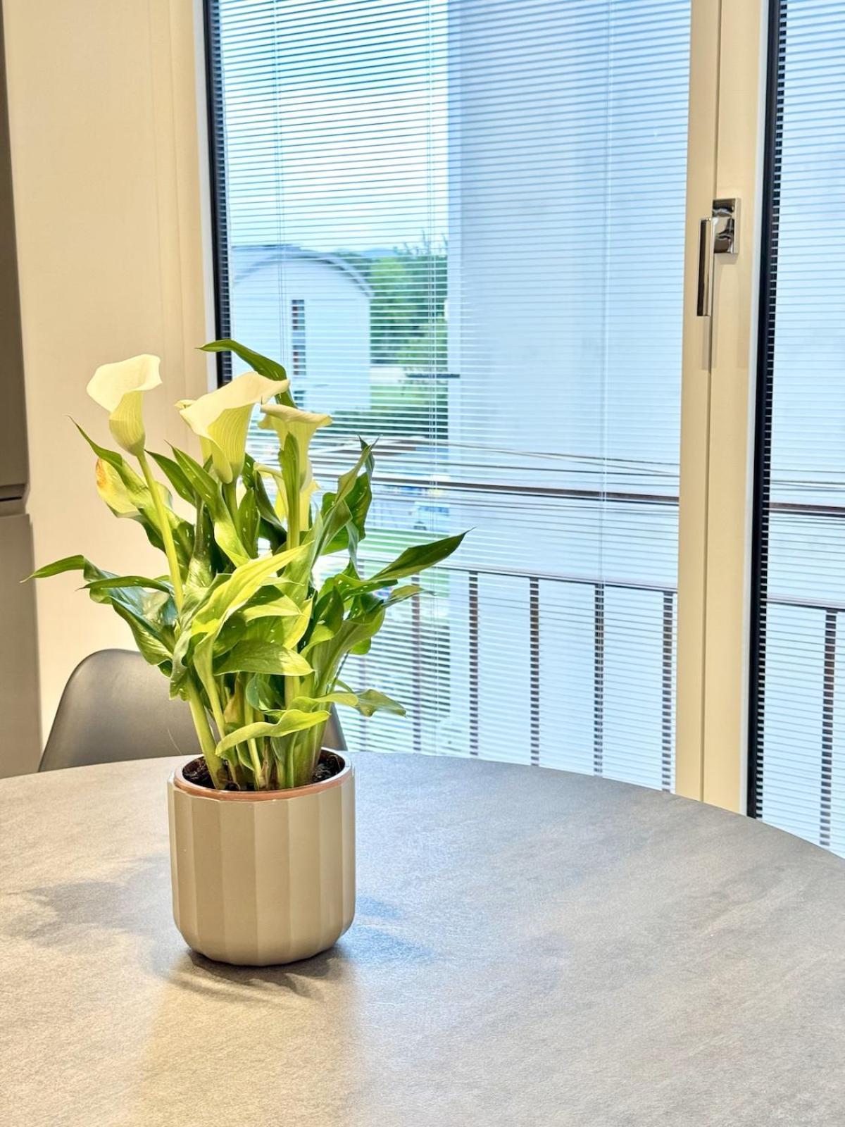 Apartamento Sunny Florença