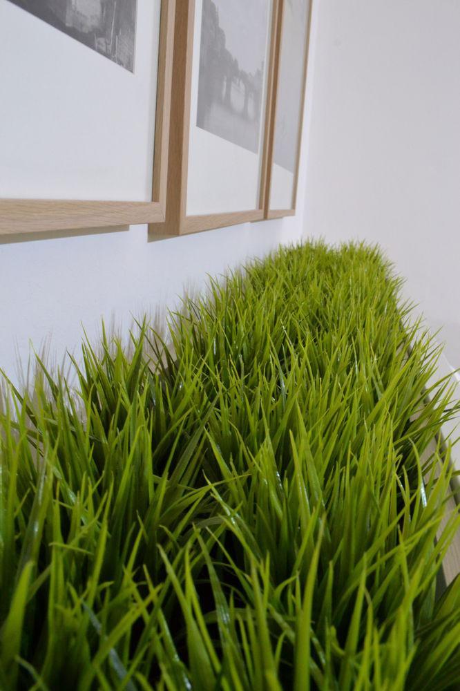 Casa de hóspedes Green Domus
