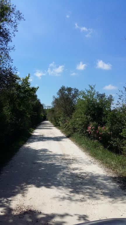 Poggio Alla Scaglia Holiday home