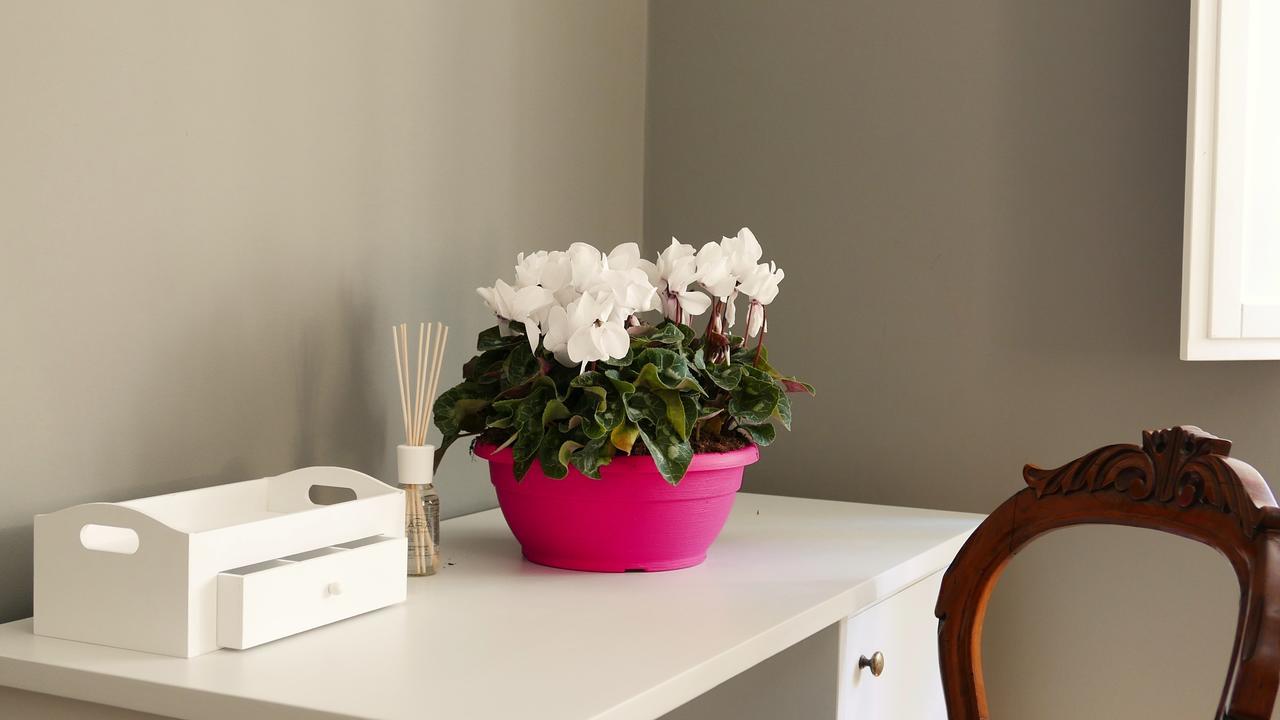 Residenza Maiano Bed & Breakfast Firenze