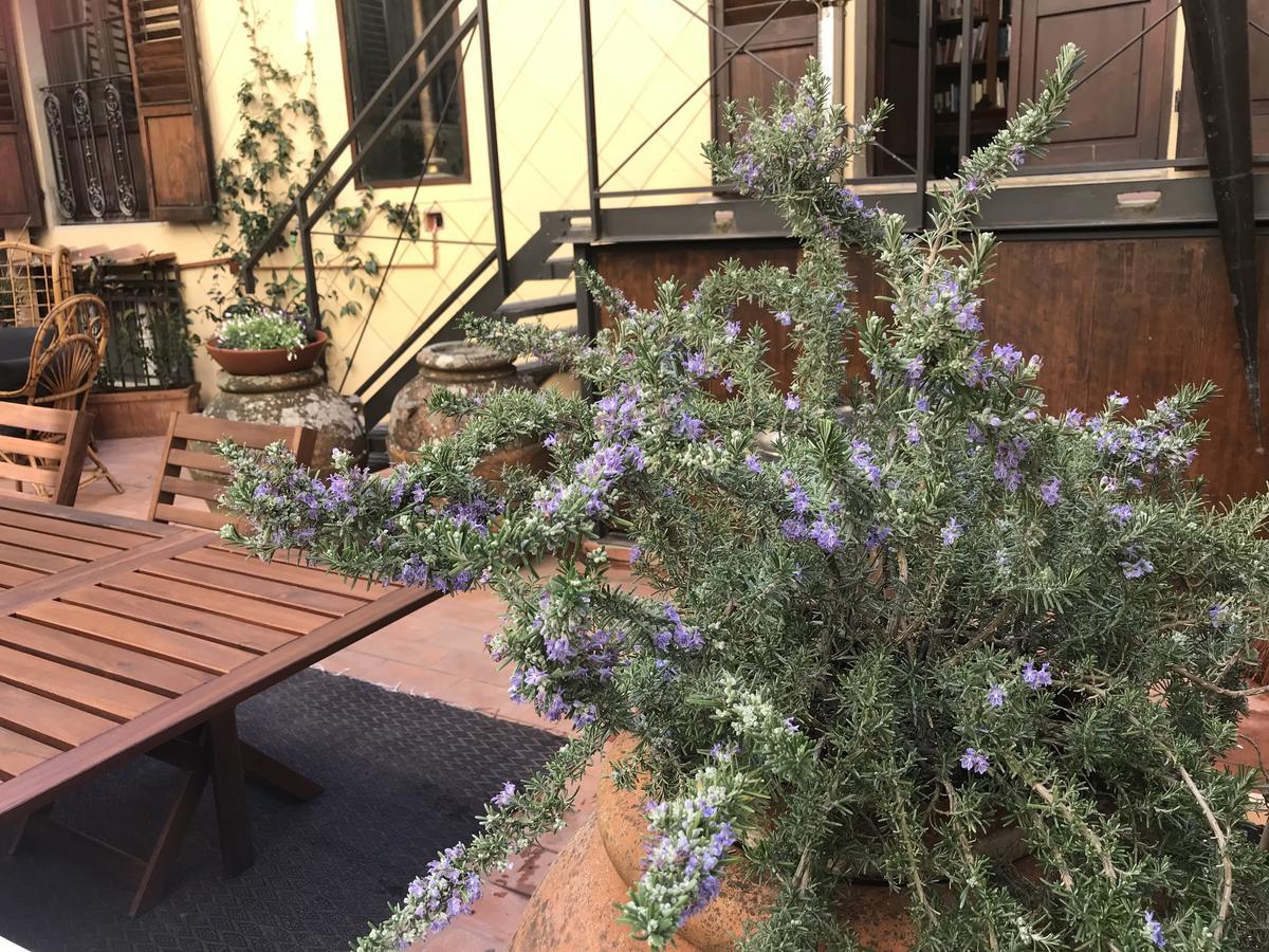 Apartment The Terrace In Santa Croce Florence