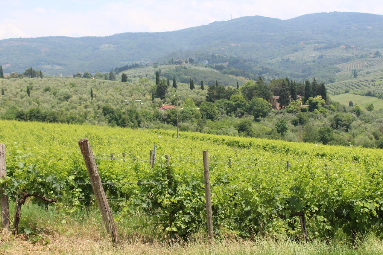 La Cascianella Farm stay *