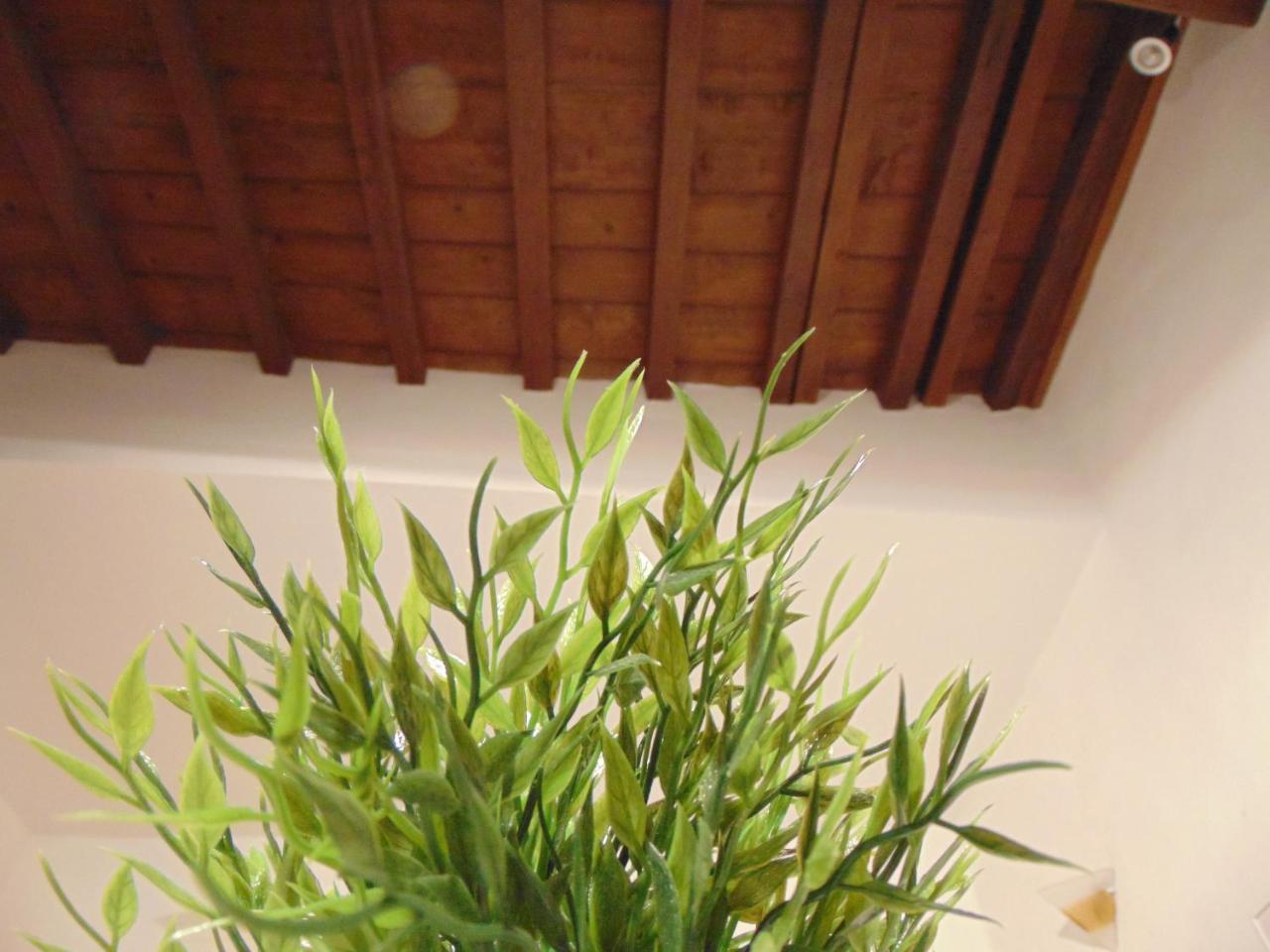 Dante's * Florença