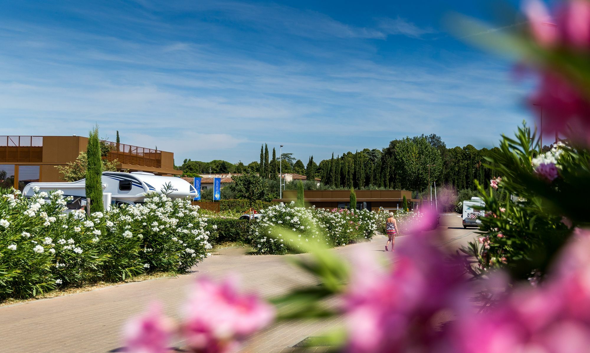 Campingplads Hu In Town