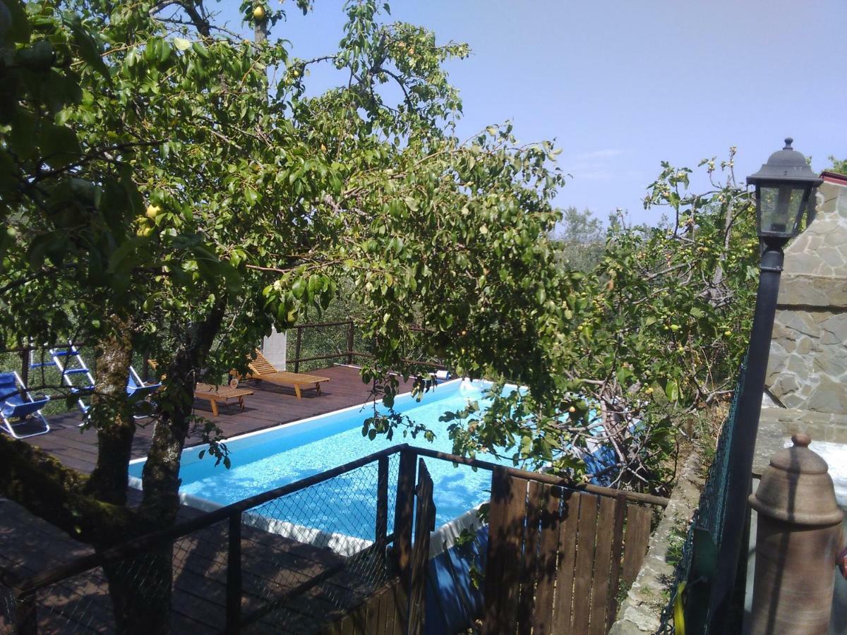 Landhuis Country House Near Florence
