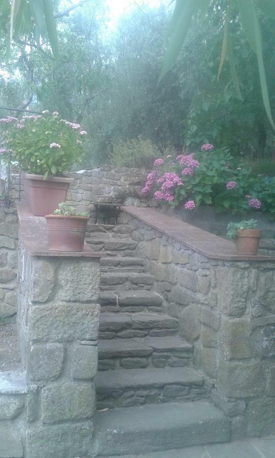 Country House Near Florence