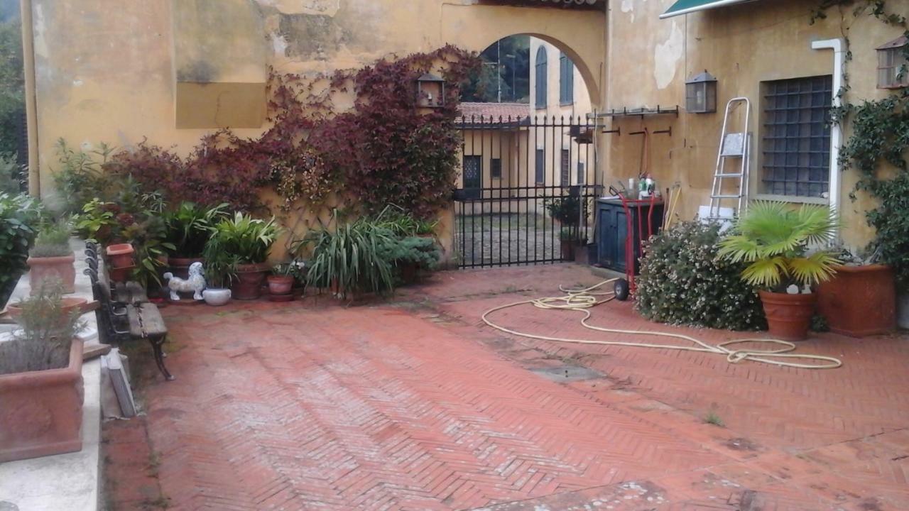 Simone 7 * Firenze