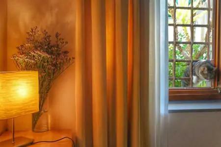 Perfect Location In Center Florença