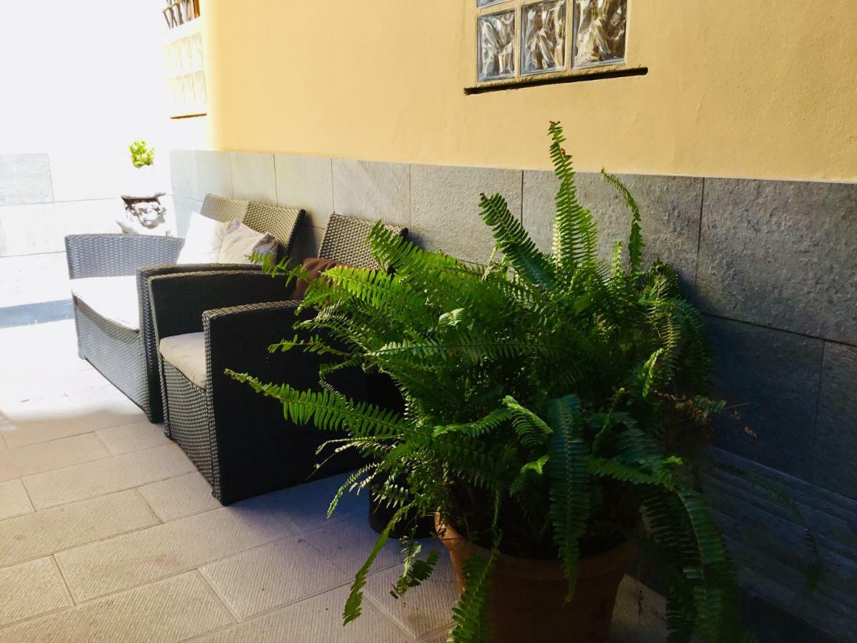 Albergue New