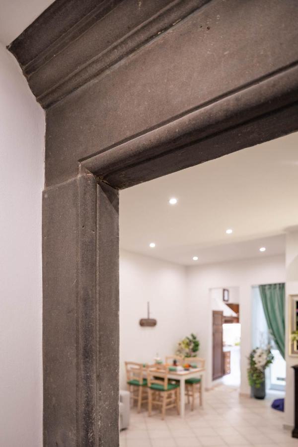 Novella Benedicta Apartamento
