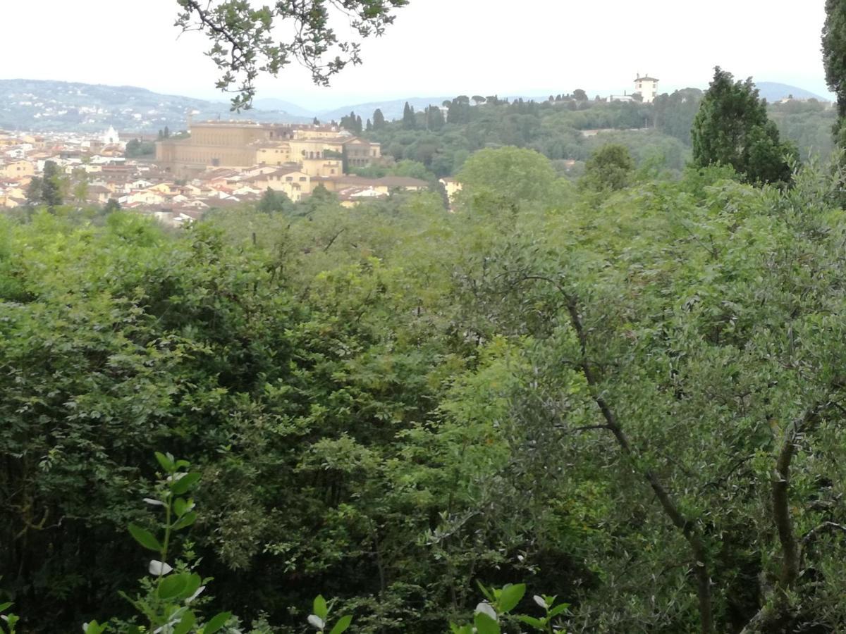 Boboli & Pitti House *